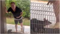 Leonardo tenta "vender" gambá na web e diverte fãs: "Pinscher puro"