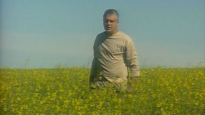 Otavio Jordão (Antonio Fagundes) surge em um campo florido após a morte em "A Viagem" • Reprodução/Globoplay