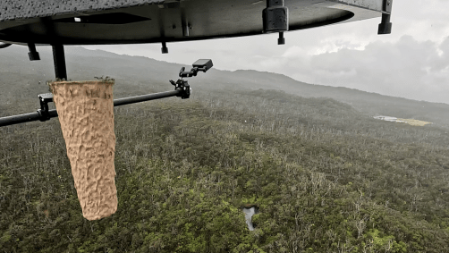 Existe um plano para controlar a população de mosquitos, liderado pela organização sem fins lucrativos American Bird Conservancy e pela parceria Birds, Not Mosquitoes