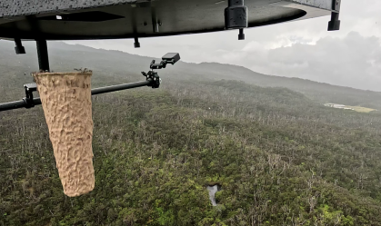Havaí usa mosquitos modificados para salvar pássaros em extinção