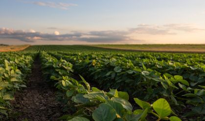 Mudanças climáticas reduzem qualidade nutricional dos alimentos, diz estudo