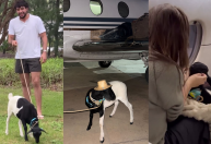 Nattan ganha presente inusitado em show para filha com Rafa Kalimann; veja