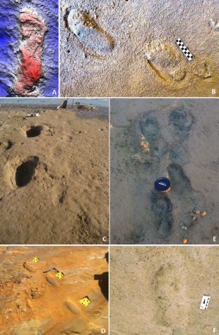 Sítios de pegadas de hominídeos em eolianitos da costa sudoeste de Portugal • Scientific Reports