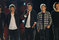 Estrelas da One Direction se reúnem para projeto multimilionário, diz site