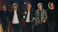 Estrelas da One Direction se reúnem para projeto multimilionário, diz site