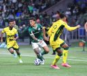 Palmeiras empata com Mirassol no retorno ao Brasileirão