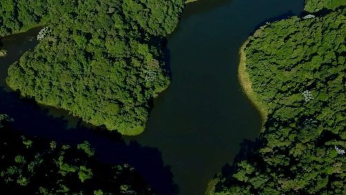 Parque Estadual da Cantareira foi a unidade de conservação mais pesquisada nos últimos 12 meses, segundo a Bulbe Energia