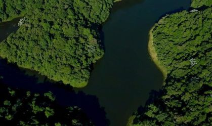 Às vésperas da COP30, buscas por unidades de conservação crescem em 50%