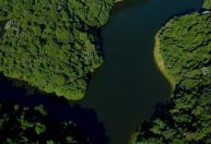 Às vésperas da COP30, buscas por unidades de conservação crescem em 50%