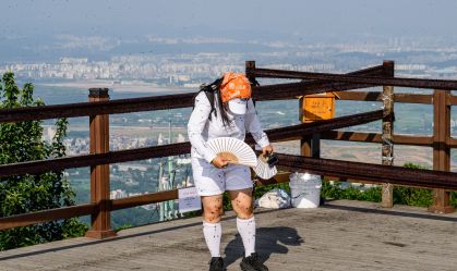 "Percevejos-do-amor": Capital da Coreia do Sul enfrenta surto de insetos