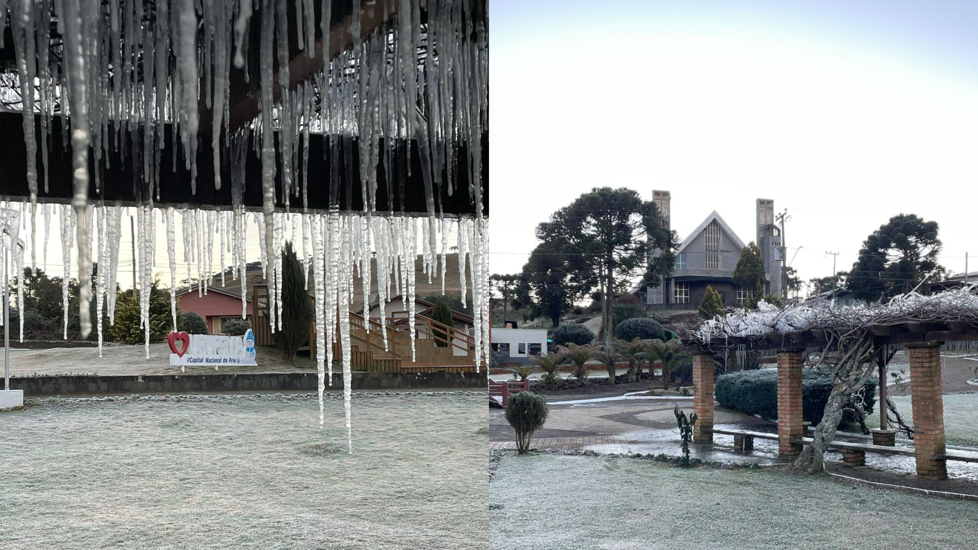 Imagens vegetação de Urupema (SC)