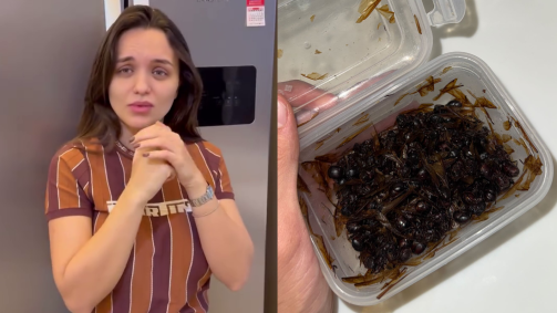 Grávida, ela não experimentou o alimento oferecido pelo artista, enquanto outras pessoas que estavam com eles, comeram e disseram que são apaixonados