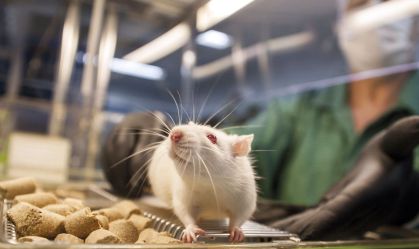 Resistência do cérebro à insulina pode ligar epilepsia e Alzheimer