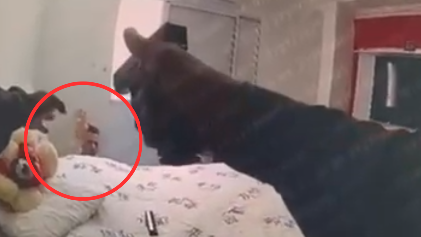 Igor aparece na imagem com uma mão pra cima e ao se levantar, o agente atira contra ele • Reprodução/CNN