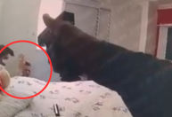 Video: bodycam de PM mostra execução de homem rendido em Paraisópolis