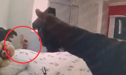Video: bodycam de PM mostra execução de homem rendido em Paraisópolis