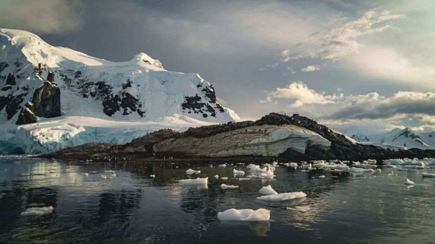 Uma colônia de pinguins na costa da Península Antártica • Julian Quinones/CNN