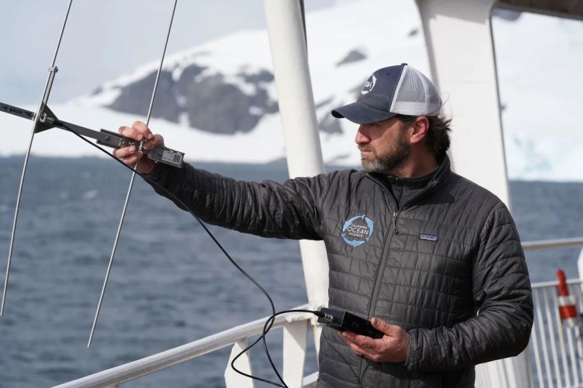Os cientistas usam antenas para detectar o sinal VHF emitido pelas ventosas quando elas caem naturalmente das baleias, geralmente em um dia. Às vezes, as ventosas não podem ser localizadas, mas elas continuam flutuando e são recuperadas por outras equipes quando chegam • Bill Weir/CNN