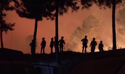 Portugal decreta estado de alerta contra incêndios em meio à onda de calor