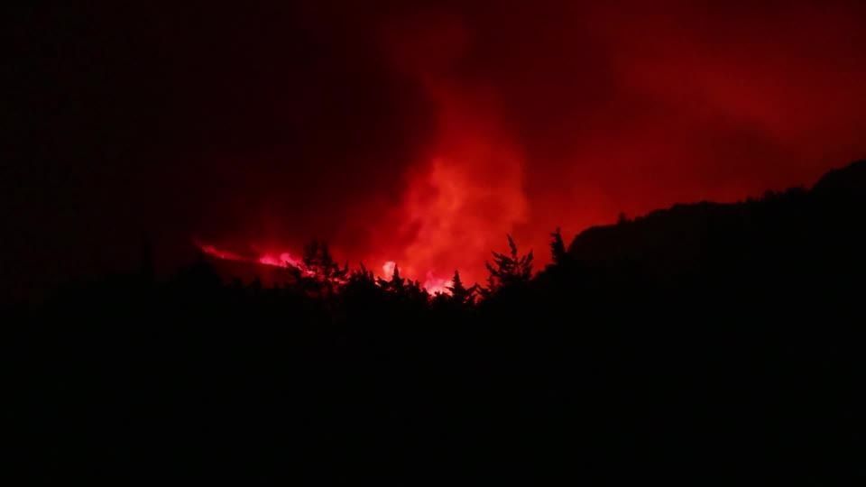 Incêndio florestal no sul da França se alastra pela noite