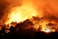 Maior incêndio da França perde intensidade, mas ainda não foi controlado