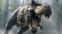 Pesquisadores desmontam mito sobre mordida de dinossauros gigantes