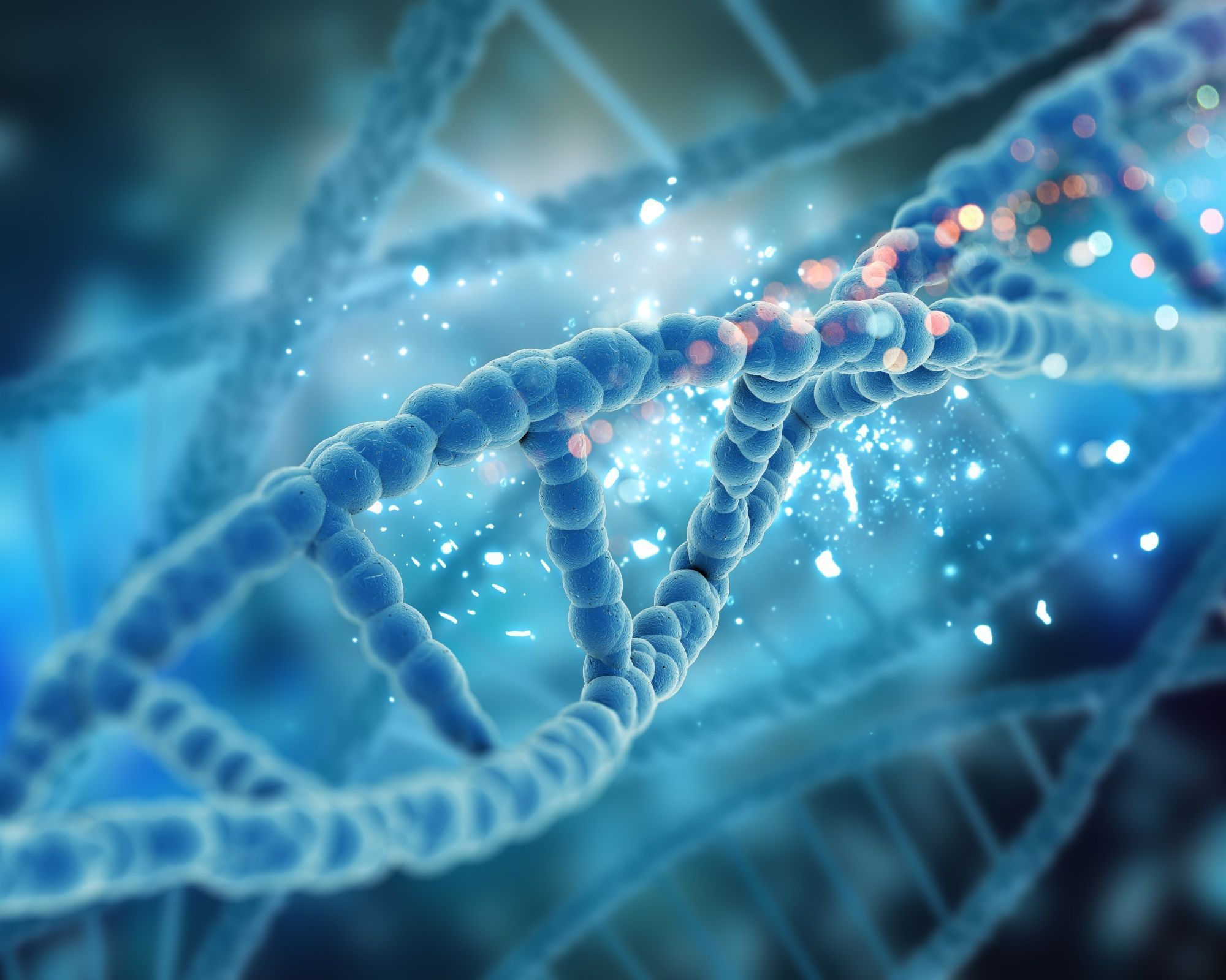 estrutura-de-uma-molécula-de -DNA