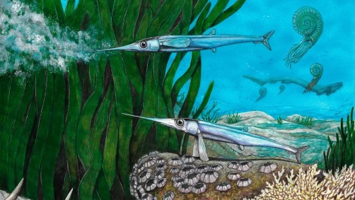 Ilustração do peixe Antarctichthys longipectoralis e da biota da Formação Snow Hill Island