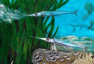 Brasileiros identificam nova espécie de peixe pré-histórico na Antártica