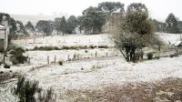 Frente fria: especialista explica neve que caiu na região Sul do país