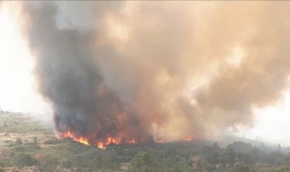 Portugal mobiliza mais de 700 bombeiros para combater incêndio florestal
