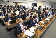 Adultização: CCJ do Senado aprova ouvir big techs sobre denúncias