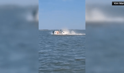 Vídeo: Baleia de seis metros morre após colidir com barco