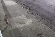 Vídeo: mulher é presa após abandonar filha de 3 anos para ir a baile funk