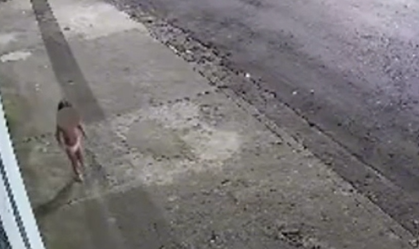 Vídeo: mulher é presa após abandonar filha de 3 anos para ir a baile funk