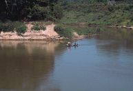 Governo decreta situação crítica de escassez nos rios amazônicos