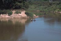 Governo decreta situação crítica de escassez nos rios amazônicos