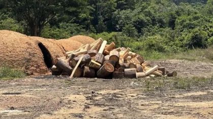 DESMATAMENTO AMAZONIA PARÁ