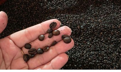 Deputados dos EUA apresentam projeto de lei para zerar tarifas sobre café