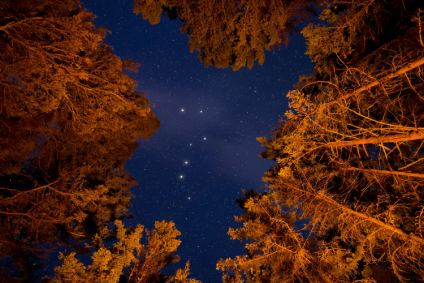 Aplicativos transformam celular em verdadeiro planetário móvel para facilitar a observação de estrelas e constelações.