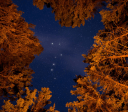 Aprenda a identificar estrelas e constelações com o celular
