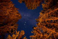 Aprenda a identificar estrelas e constelações com o celular