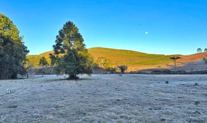 Frente fria: início da semana será de temperaturas baixas no Sul e Sudeste