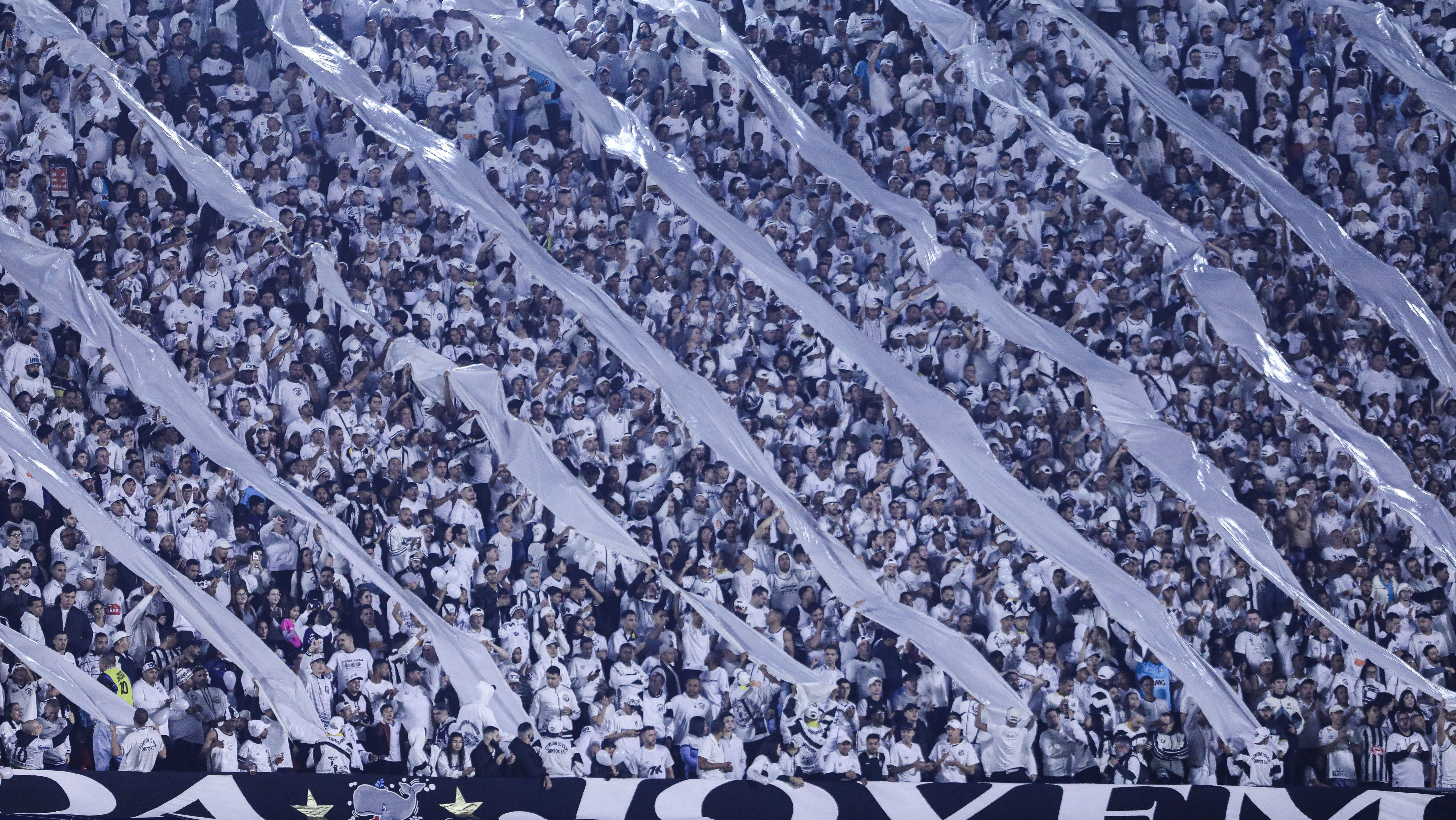 Torcida do Santos durante jogo do Brasileirão no MorumBIS