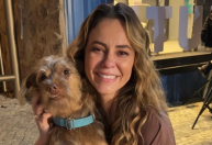 Astro canino? Cão de "Vale Tudo" já estrelou outra novela da Globo