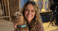 Astro canino? Cão de "Vale Tudo" já estrelou outra novela da Globo