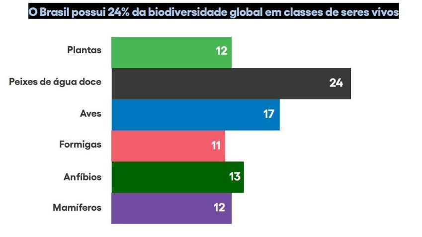 País abriga a maior biodiversidade do planeta • ICC Brasil
