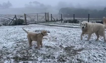 Vídeo: Sul amanhece com neve neste sábado e com temperaturas congelantes