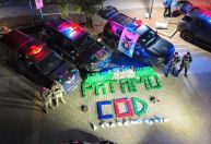 Polícia Federal apreende carga milionária de drogas no DF