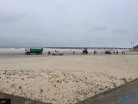 Baleia é encontrada morta em praia de Mongaguá, litoral de São Paulo